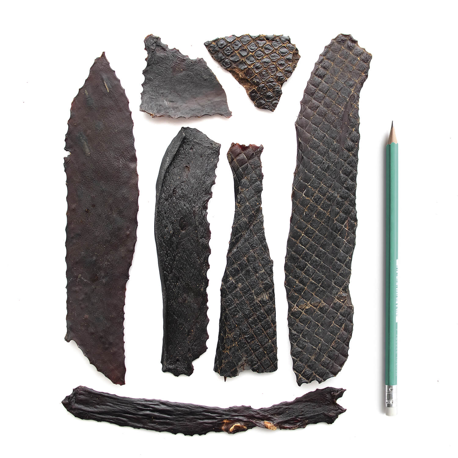 Super Foods Porky Liver Fillets 6oz SuperCan Bully Sticks