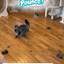 Pounce! Kit Enrichment Product SwiftPaws