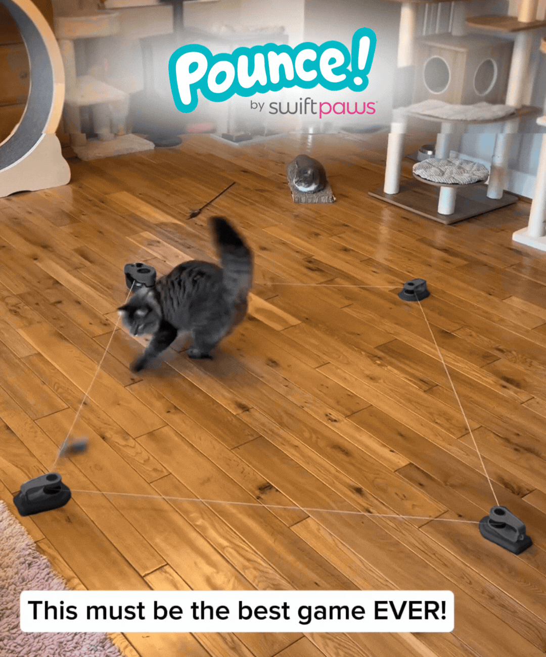 Pounce! Kit Enrichment Product SwiftPaws