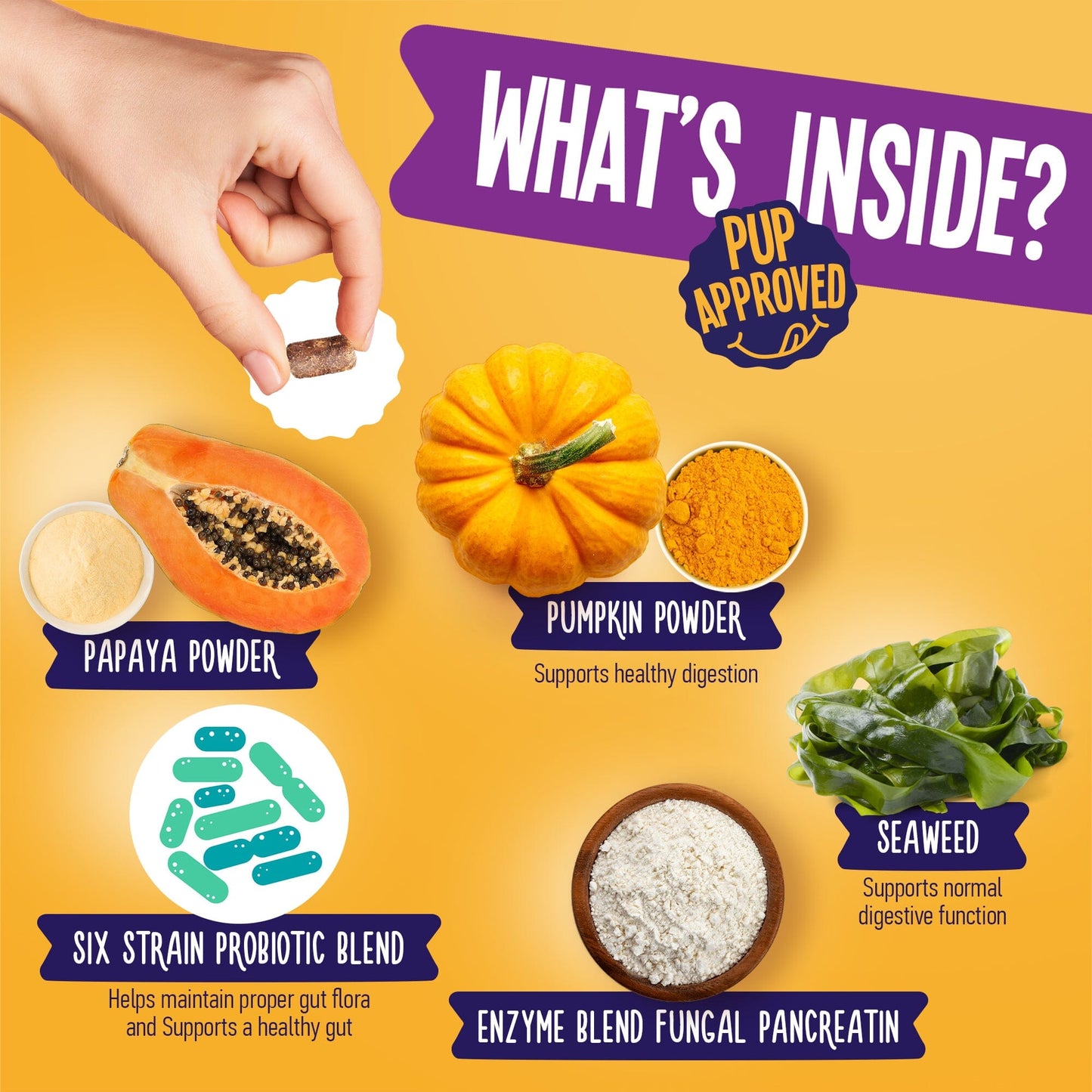 Daily Probiotic Blend For Dogs 9oz Jar (120 Count) Dog Soft Chews Dogline