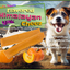Pumpkin Flavored Yak Cheese Chew - made with REAL PUMPKIN Puree - Single One Yak Chew Chief’s Treats and Pet Supplies