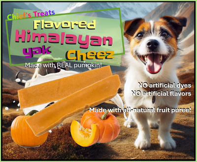 Pumpkin Flavored Yak Cheese Chew - made with REAL PUMPKIN Puree - Single One Yak Chew Chief’s Treats and Pet Supplies