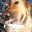Puppy Cakes - Puppy Scoops Ice Cream Mix - Peanut Butter Dog Treats Puppy Cakes