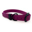 Biothane Collar by Chief Treats Magenta Dog Collar Chief’s Treats and Pet Supplies