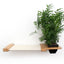 Cat Hammock Wall with Planter Natural Bamboo Natural Canvas 16" Cat Hammock Catastrophic Creations