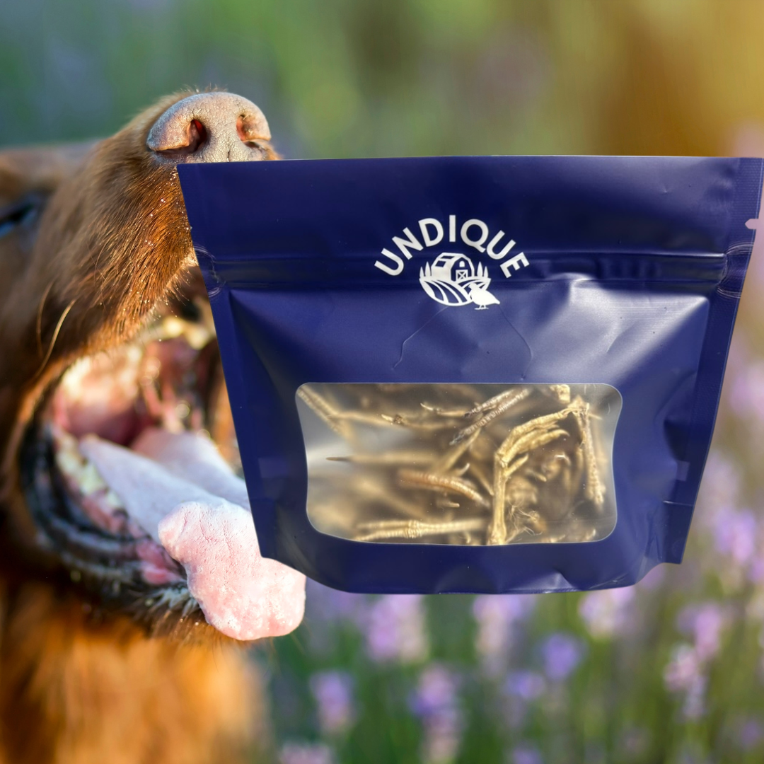 Quail Feet Training Pack Dog Treats Quailz.com by Undique LLC