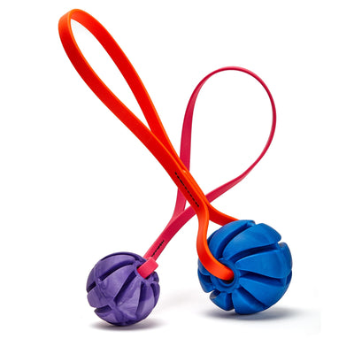 Rubber Spiral Ball with Biothane Handle Dog Toys Dogline