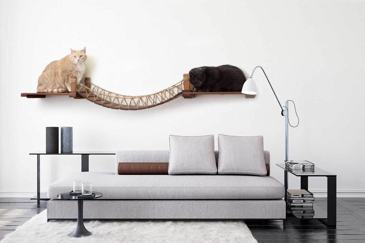 Cat Wall Bridge and Shelf Set Cat Bridge Catastrophic Creations