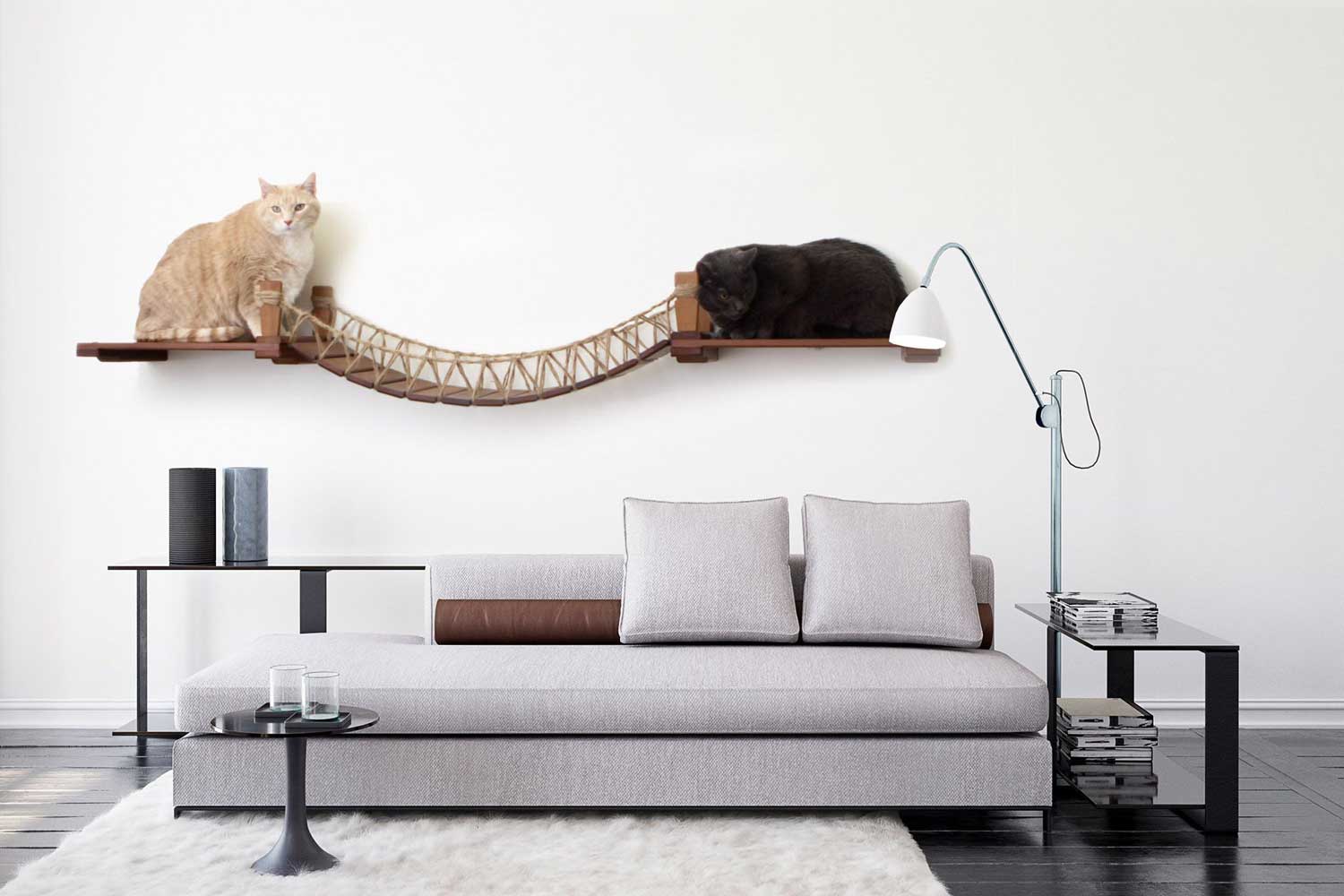 Cat Wall Bridge and Shelf Set Cat Bridge Catastrophic Creations