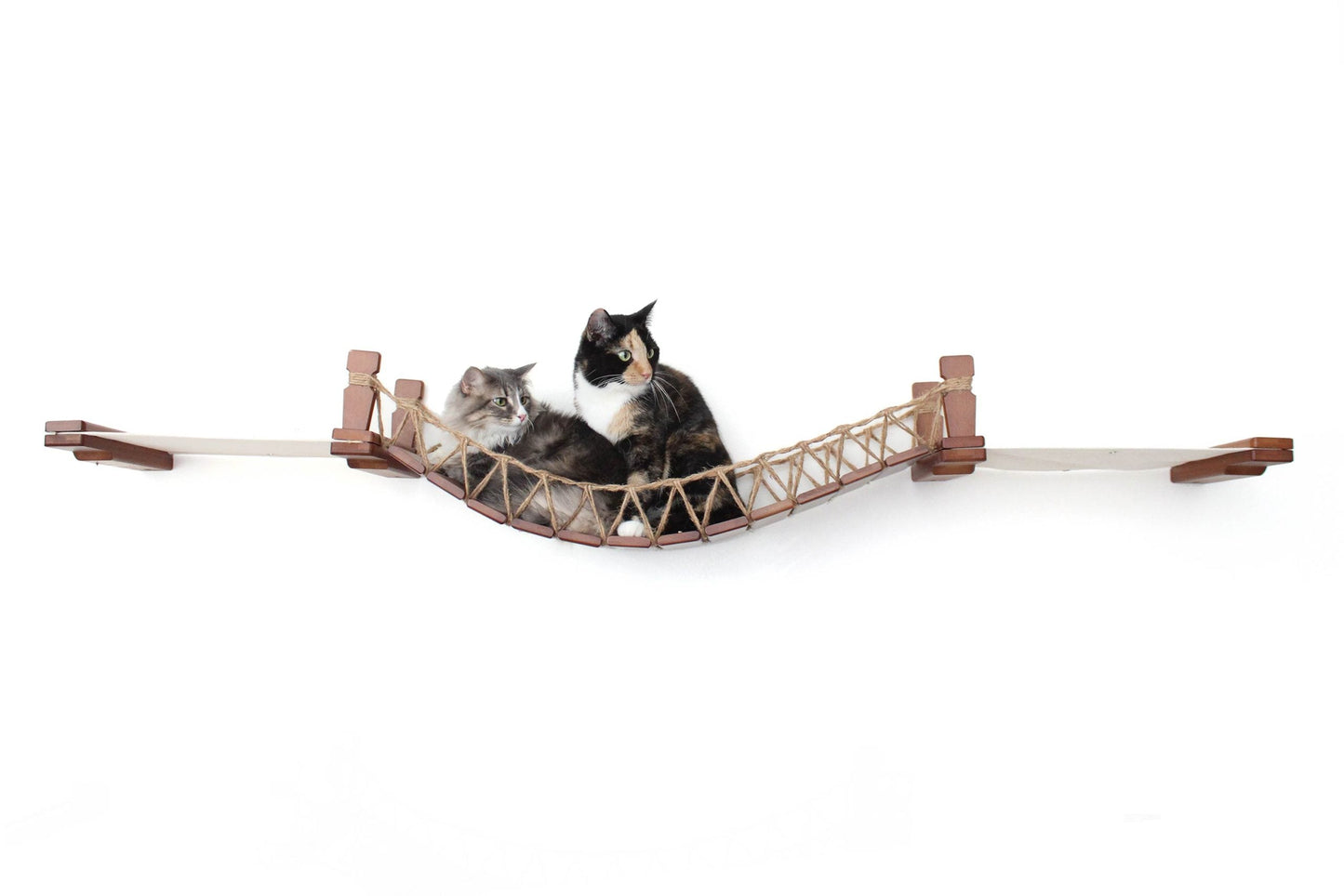 Double Cat Hammock and Climbing Bridge Combo Cat Bridge Catastrophic Creations
