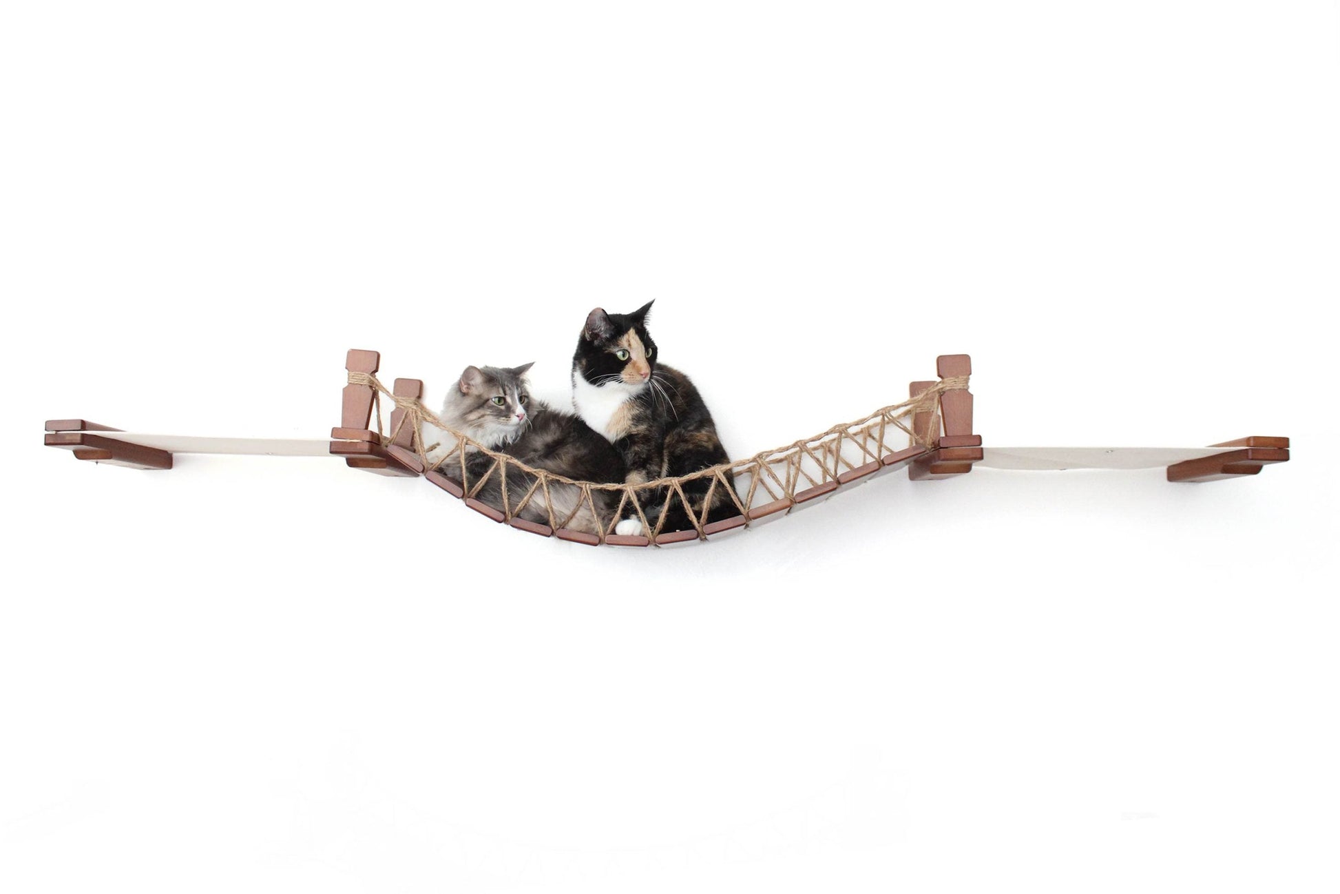 Double Cat Hammock and Climbing Bridge Combo Cat Bridge Catastrophic Creations