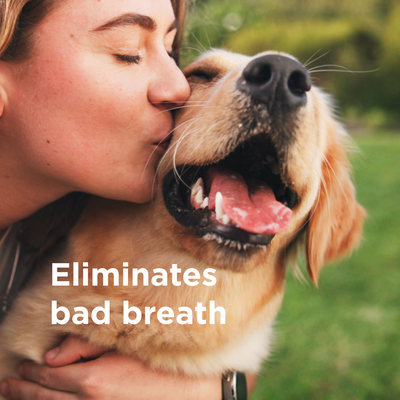 Wondercide RESCUE™ Oral Spray sale Wondercide