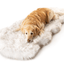 PupRug® Runner Faux Fur Memory Foam Dog Bed - Curve White with Brown Accents Dog Beds Paw
