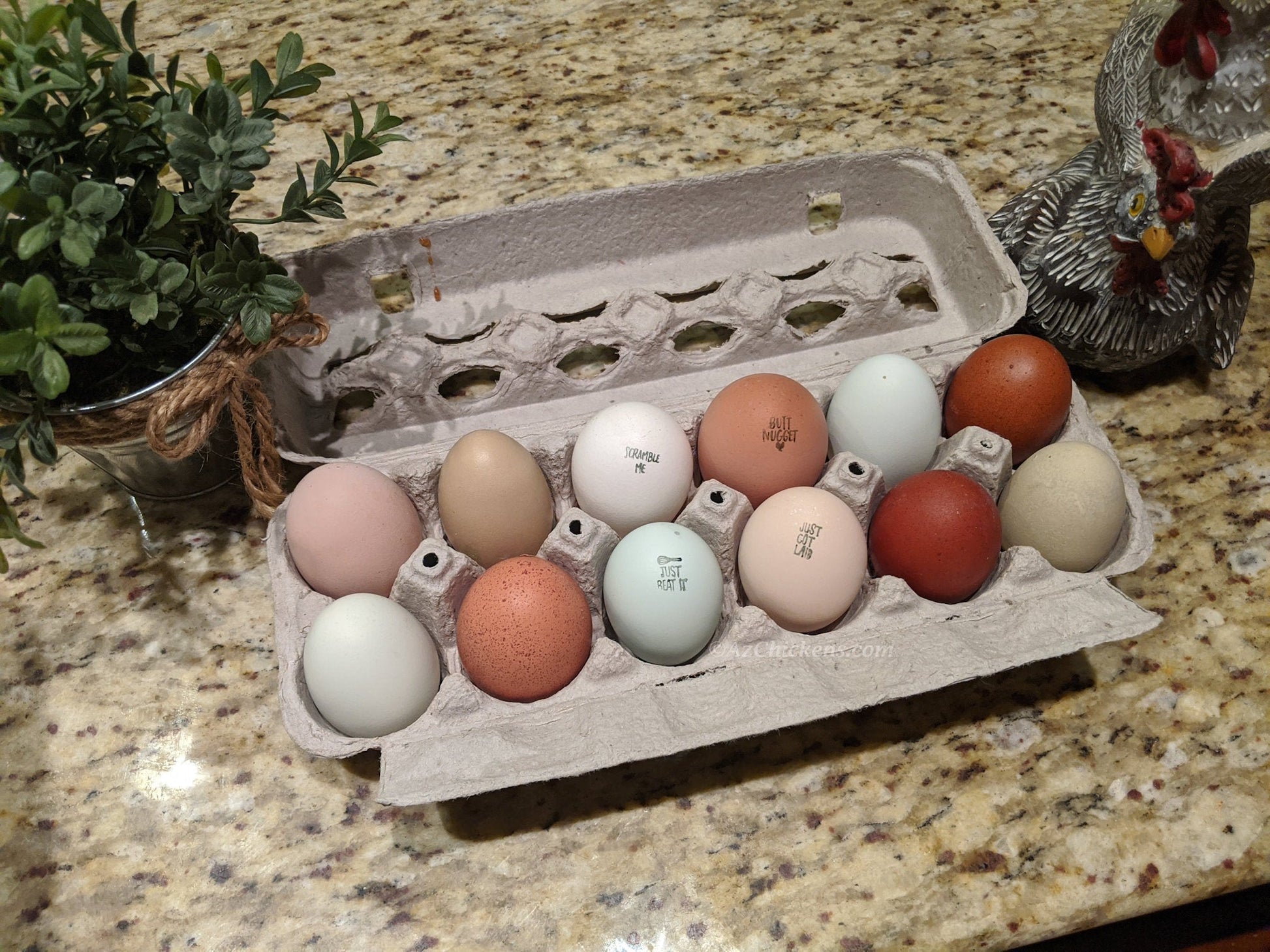 Rainbow Egg Assortment – Buy 10 + 5 Bonus Free (15 All-Female, Shipping Included) Az Chickens