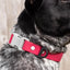 Red Mountain Syrah Waterproof Dog Collar Dog Collar Aria the Fox