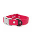 Red Mountain Syrah Waterproof Dog Collar Fuchsia Gray Dog Collar Aria the Fox