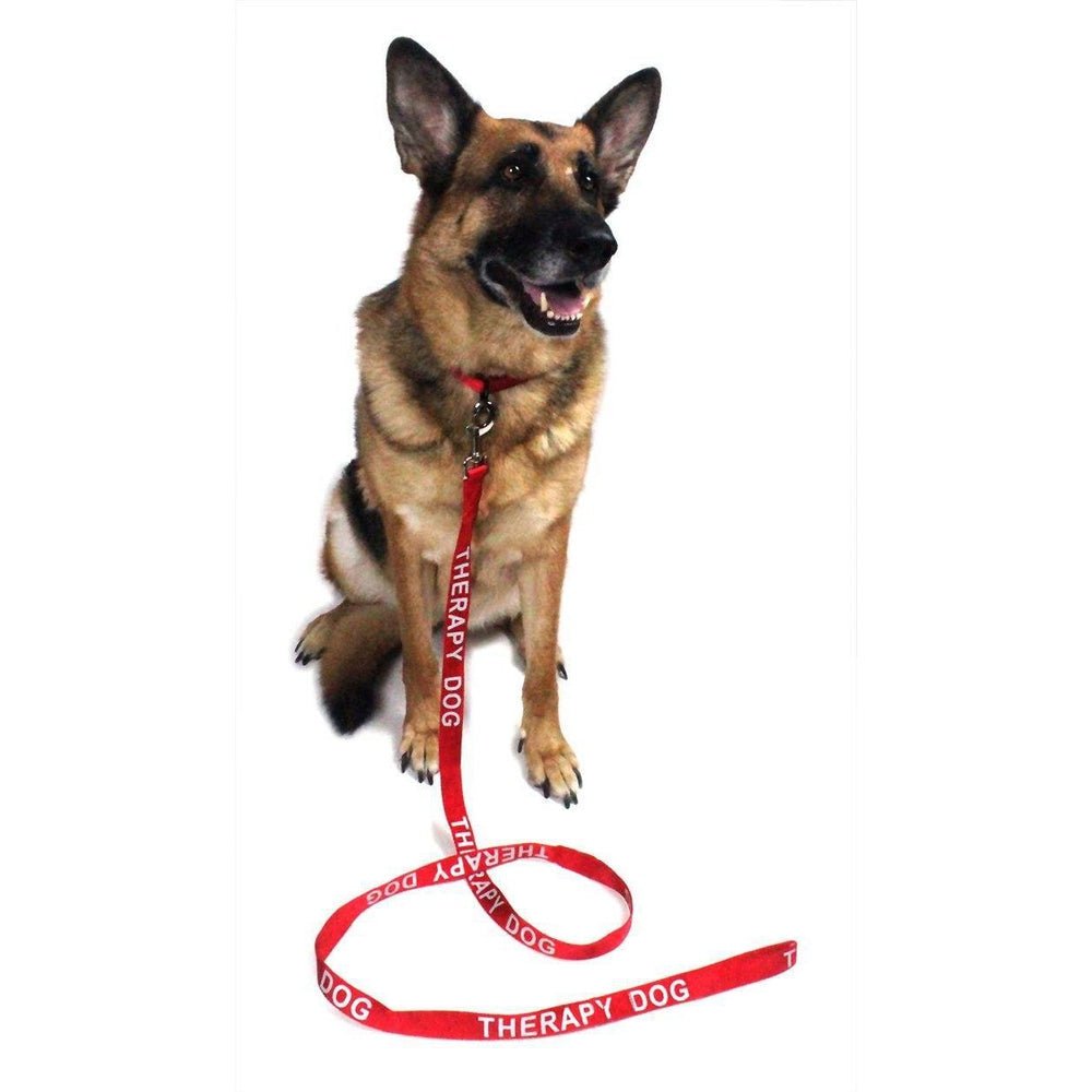 Reflective Nylon Dog Leash Dog Leashes Dogline