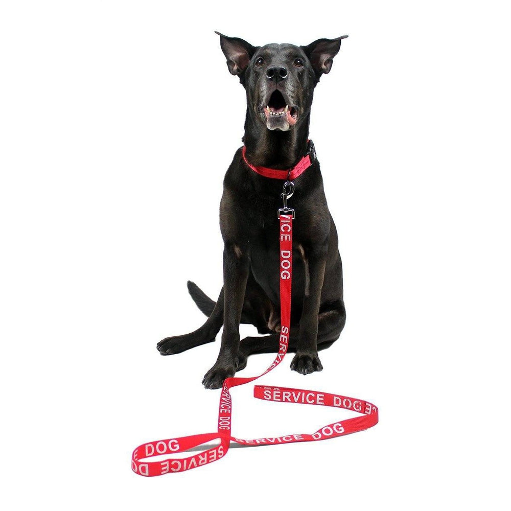 Reflective Nylon Dog Leash Dog Leashes Dogline