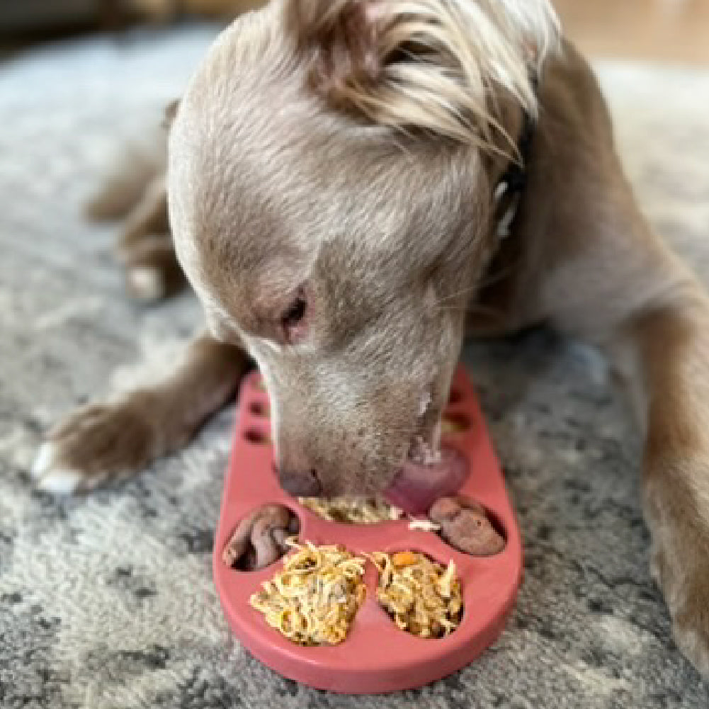 FreezPaw Mat - Calming Slow Feeder Freezbone