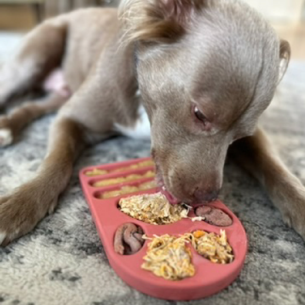 FreezPaw Mat - Calming Slow Feeder Freezbone