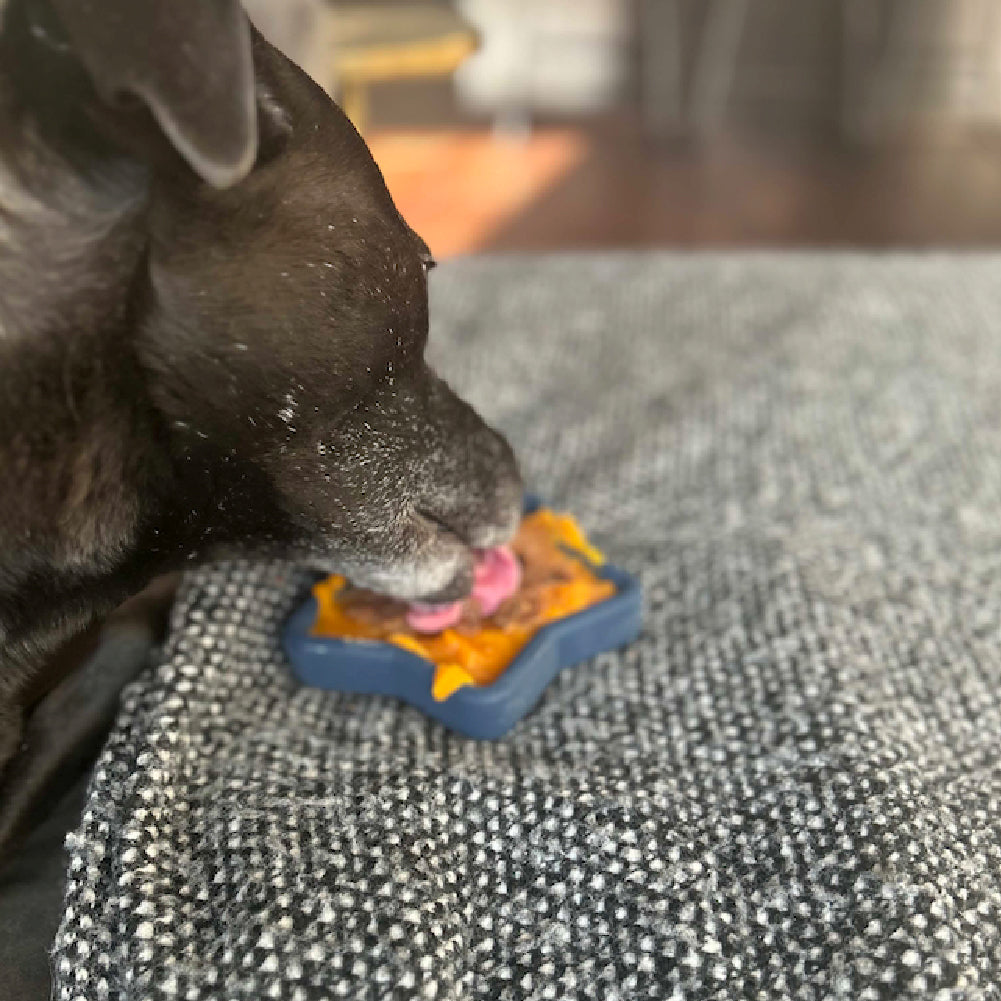 FreezStar - Long-Lasting Star Chew Freezbone