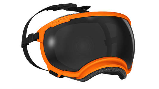 Appalachian Orange dog goggles with an adjustable strap and reflective lens 