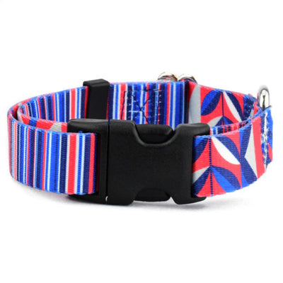 Rocky Dog Collar – EarthStyle Dog Collar 2 Hounds Design