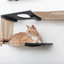 The Roman - A Wall Mounted Cat Scratcher Tree Cat Condo Catastrophic Creations