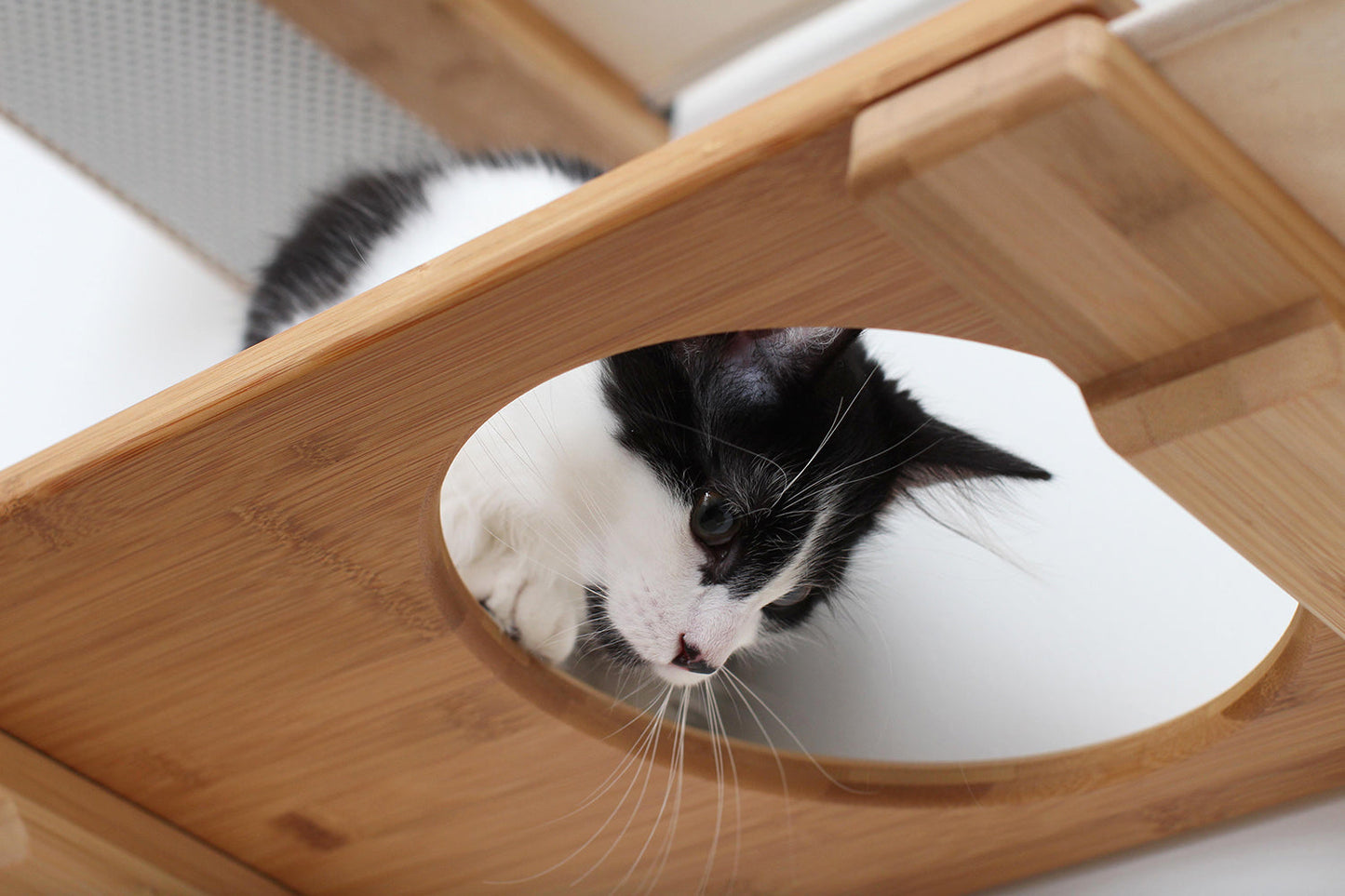 The Roman - A Wall Mounted Cat Scratcher Tree Cat Condo Catastrophic Creations