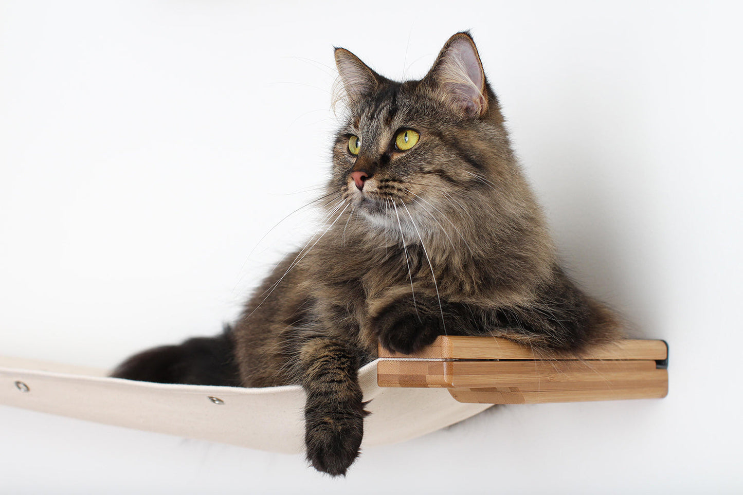 The Roman - A Wall Mounted Cat Scratcher Tree Cat Condo Catastrophic Creations