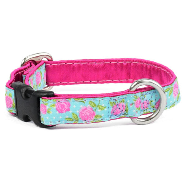 5/8″ Rosy Dots Aqua Martingale Dog Collar Martingale Dog Collar 2 Hounds Design