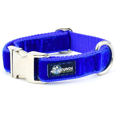 Royal Blue Velvet Essential Dog Collar 1 inch wide Dog Collar 2 Hounds Design
