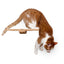 Cat Perch - Wall Mounted and Wooden Cat shelves/bed Catastrophic Creations