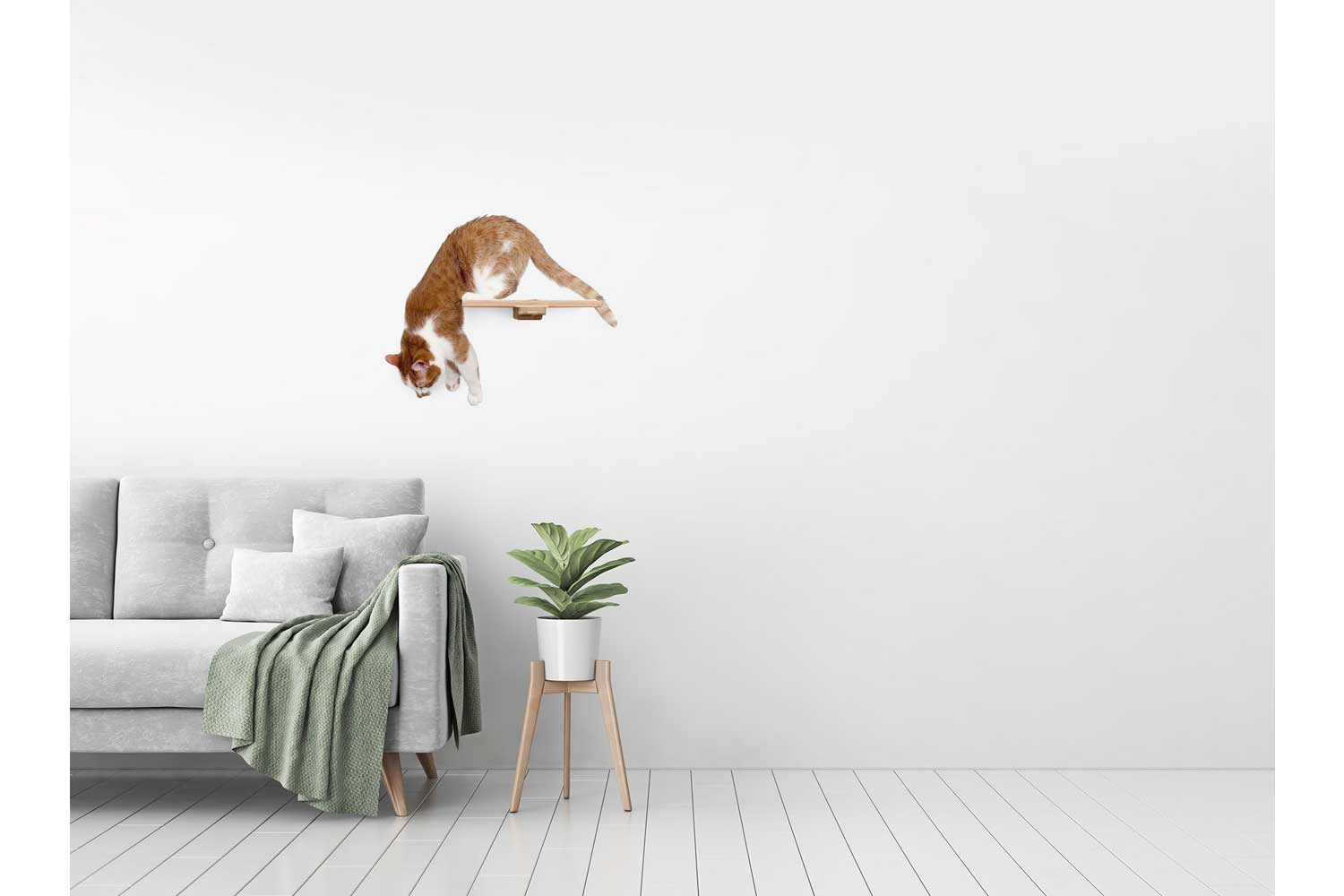 Cat Perch - Wall Mounted and Wooden Cat shelves/bed Catastrophic Creations