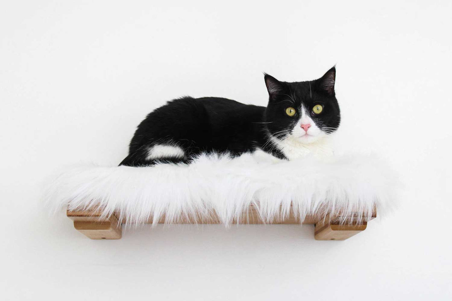 The Cat Nest Bed Cat shelves/bed Catastrophic Creations