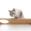 Wall Mounted Cat Shelf Natural Bamboo 34" Escape Hatch Cat shelves/bed Catastrophic Creations