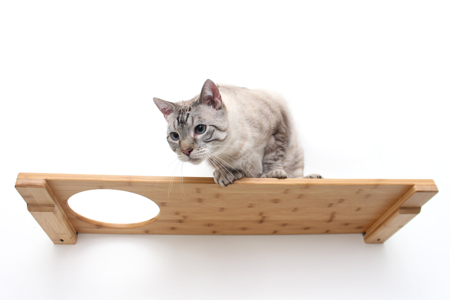 Wall Mounted Cat Shelf Natural Bamboo 34" Escape Hatch Cat shelves/bed Catastrophic Creations