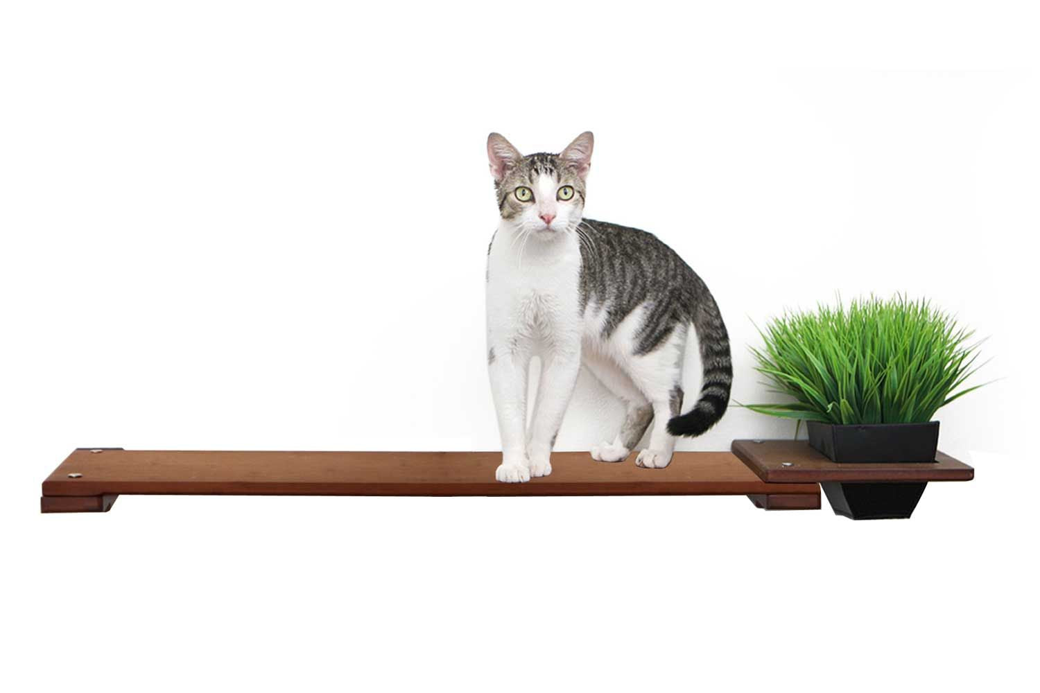 Cat Plant Stand for Wall English Chestnut Bamboo Cat shelves/bed Catastrophic Creations