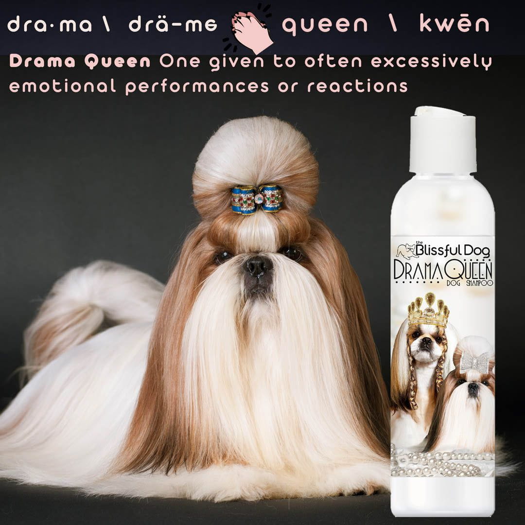 Shih Tzu Rich Bitch & Drama Queen Shampoo Drama Queen SHAMPOO The Blissful Dog