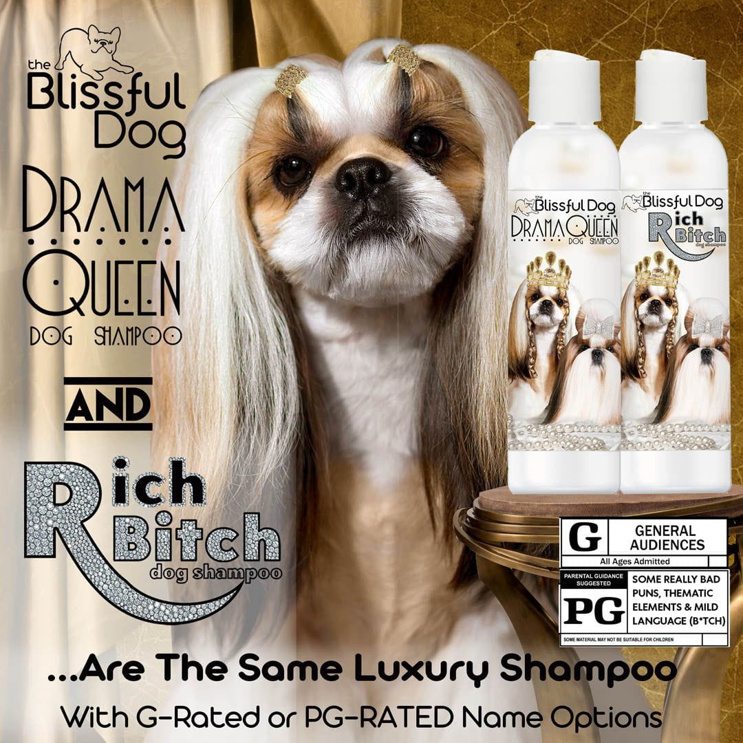 Shih Tzu Rich Bitch & Drama Queen Shampoo Rich Bitch 8 oz Shampoo SHAMPOO The Blissful Dog