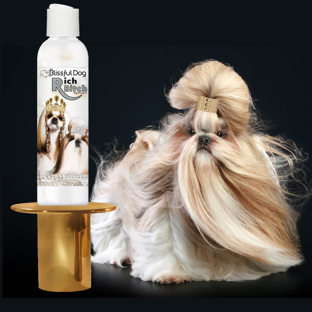 Shih Tzu Rich Bitch & Drama Queen Shampoo Rich Bitch 16 oz Shampoo SHAMPOO The Blissful Dog