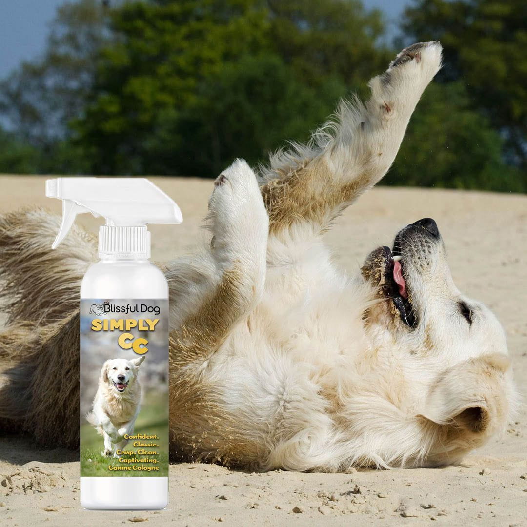 Simply CC Dog Cologne for the Classically Confident Canine 16 oz Cologne The Blissful Dog