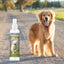 Simply CC Dog Cologne for the Classically Confident Canine 8 oz Cologne The Blissful Dog