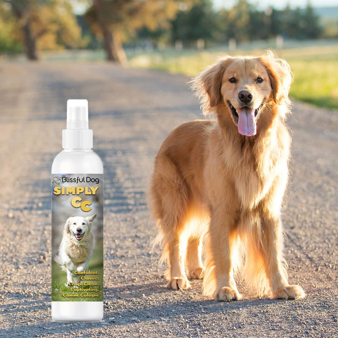 Simply CC Dog Cologne for the Classically Confident Canine 8 oz Cologne The Blissful Dog