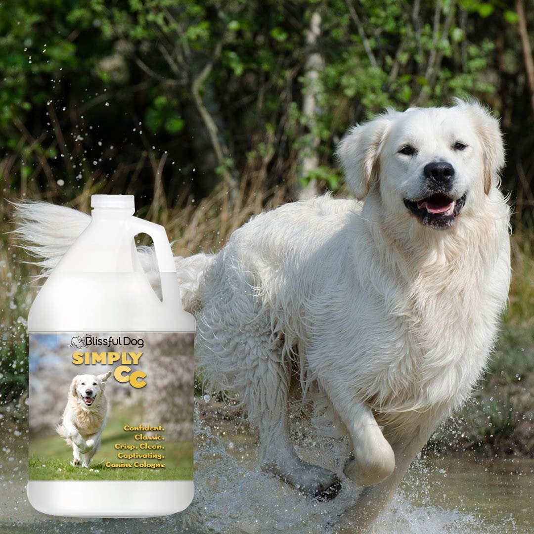 Simply CC Dog Cologne for the Classically Confident Canine US Gallon Cologne The Blissful Dog