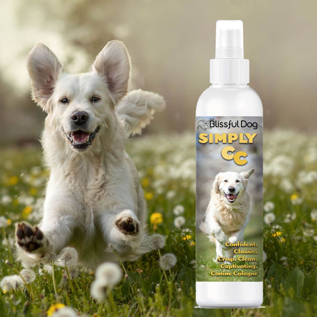 Simply CC Dog Cologne for the Classically Confident Canine 4 oz Cologne The Blissful Dog