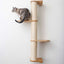Wall Mounted Cat Climbing Pole - Sisal Cat Scratcher Catastrophic Creations