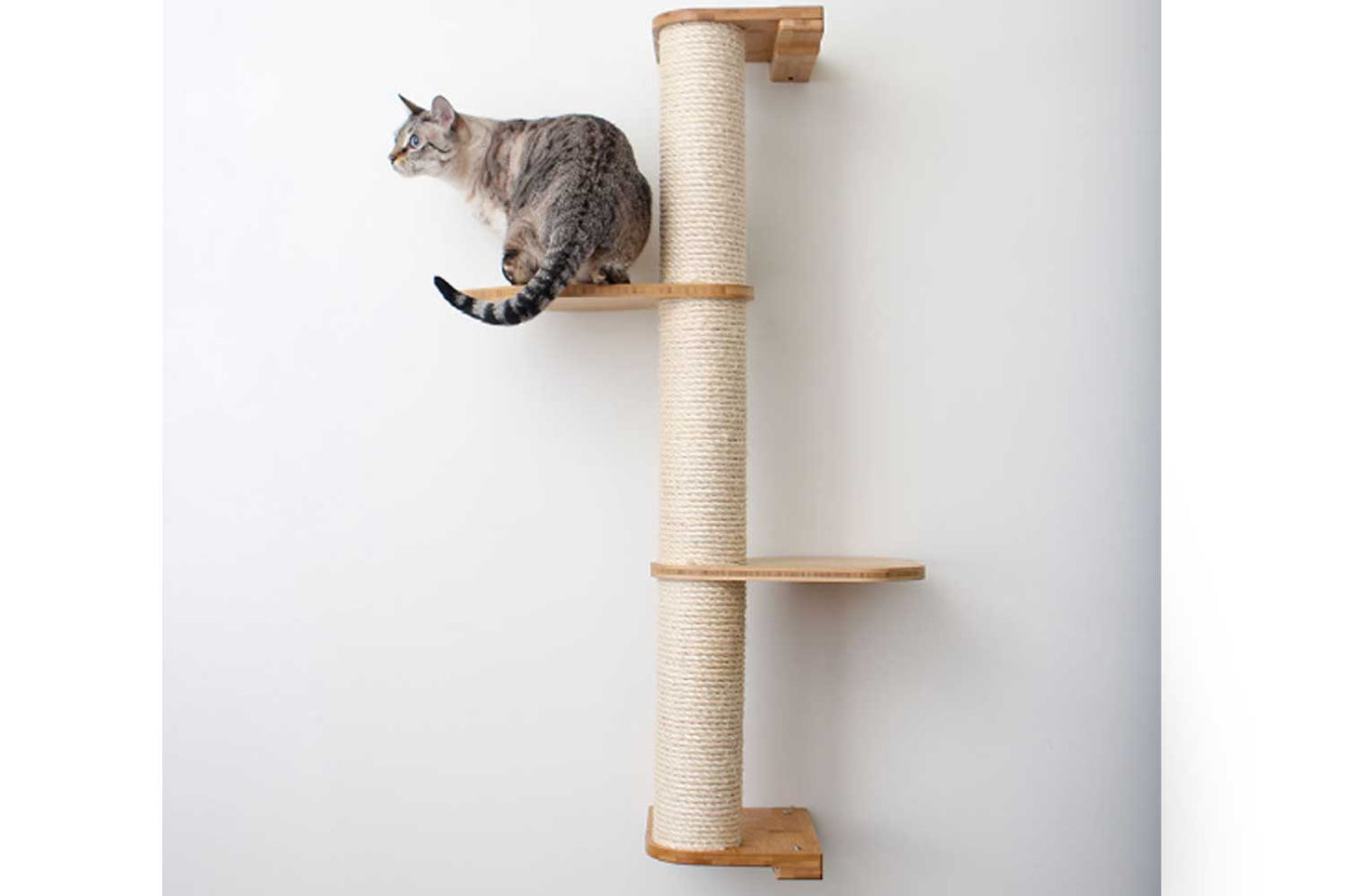 Wall Mounted Cat Climbing Pole - Sisal Cat Scratcher Catastrophic Creations