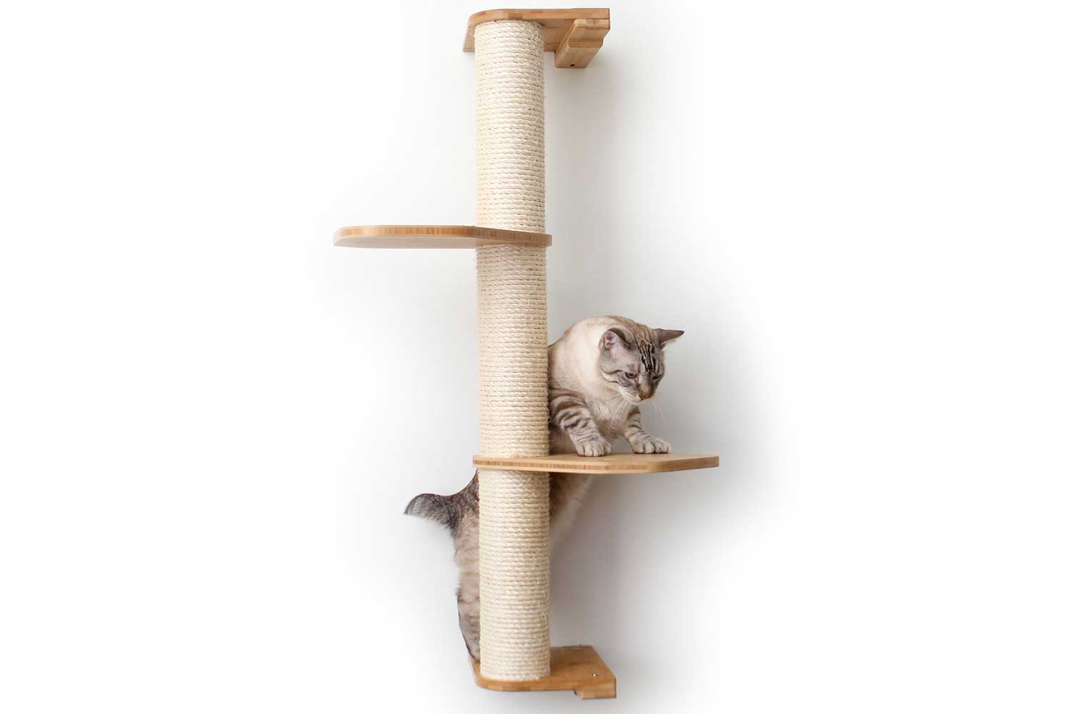 Wall Mounted Cat Climbing Pole - Sisal Cat Scratcher Catastrophic Creations