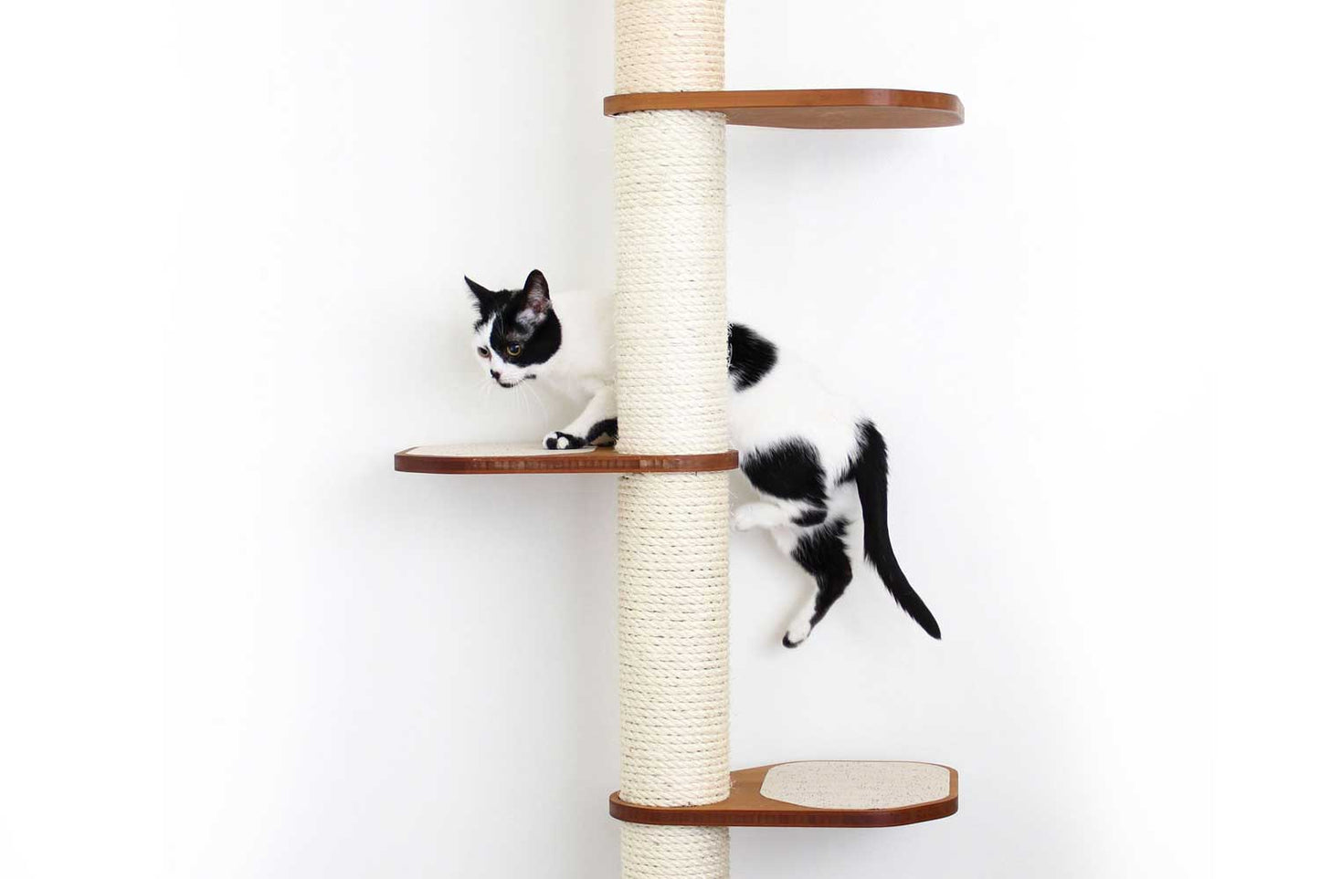 Wall Mounted Cat Climbing Pole - Sisal Cat Scratcher Catastrophic Creations